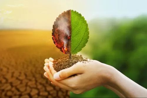 Curvelo abre inscrições para a segunda edição do programa Jovens Curvelanos pelo Clima, com inscrições abertas até o dia 11 de setembro