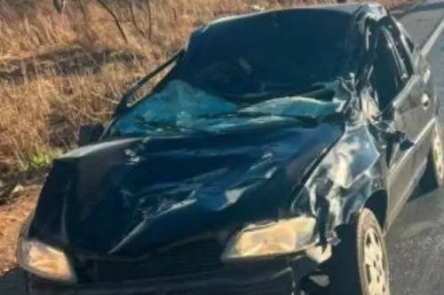 Carro colide com cavalo na BR-365 e deixa quatro pessoas feridas; idosa de 100 anos está entre as vítimas