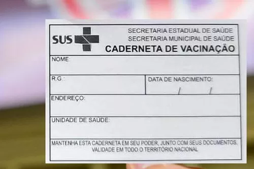 Foto: Reprodução/internet- Cartão de Vacinação 