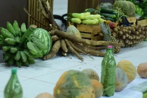 Agricultura familiar leva mais qualidade às escolas de Inimutaba