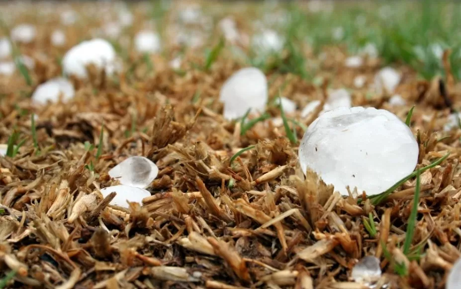 Tempestades e granizo colocam Curvelo, Corinto e outras 660 cidades de MG em alerta