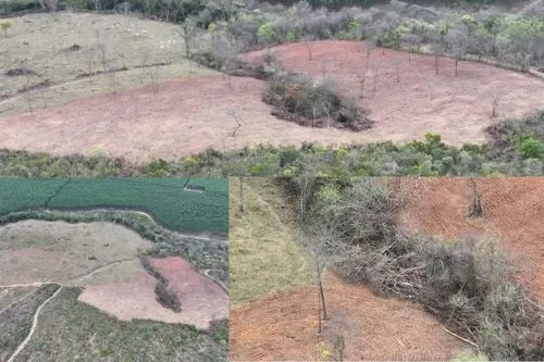 Fiscalização identifica supressão irregular de vegetação nativa em na zona rural de Inimutaba