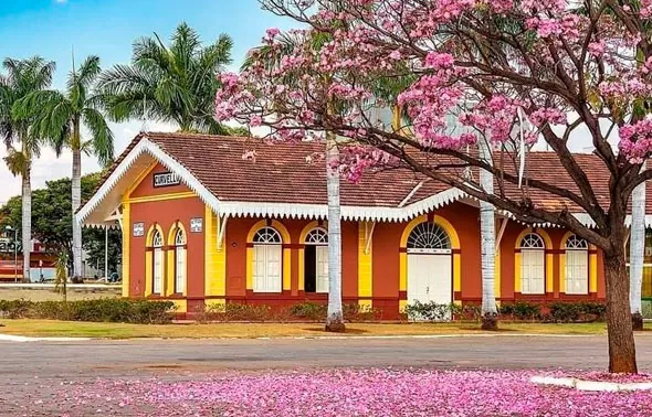 O dia será agradável - Reprodução/ Internet