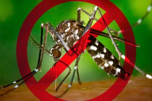 Limpeza e prevenção ganham reforço no combate ao Aedes aegypti em Inimutaba