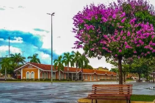 Foto: Luiz Gustavo de Assis Moreira -Praça da Estação- Curvelo- (MG)
