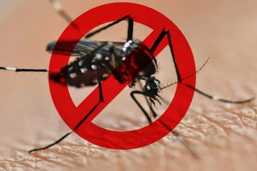 Foto: Reprodução/Internet - Combate à dengue 