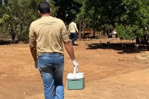 Joaquim Felício inicia vacinação antirrábica na zona rural e reforça proteção de cães e gatos