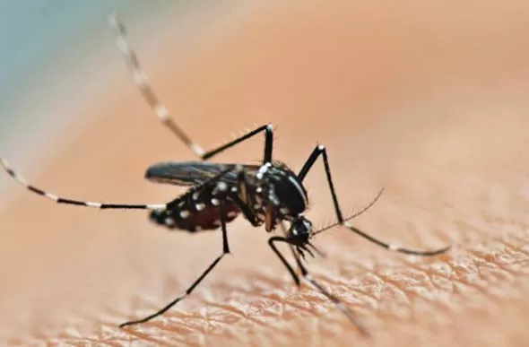 Prefeitura de Curvelo realiza ação de combate à dengue em área com caso confirmado
