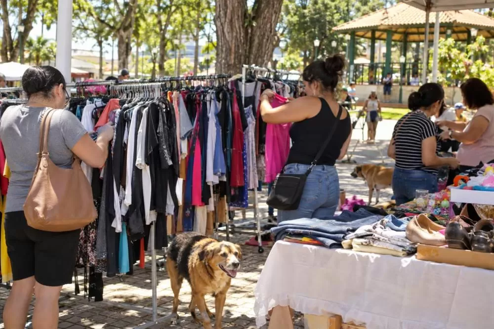 Gouveia recebe no dia 17 de outubro bazar beneficente da Associação Protetora Amiga dos Cães de Gouveia , com peças a R$ 5