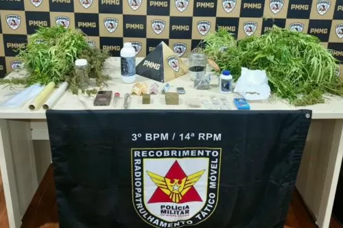 Plantação de substância semelhante à maconha em estufa é descoberta pela PM; suspeito é preso em Diamantina
