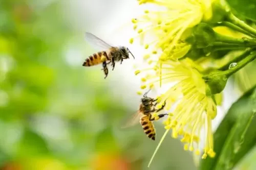 Foto: Reprodução Internet