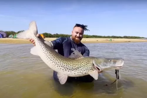 Reprodução canal Youtube - Discovery Cyborg