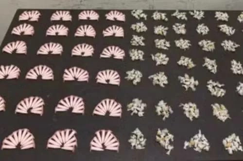 PM apreendeu 240 pinos de cocaína e 468 pedras de crack — Foto: Polícia Militar/Divulgação