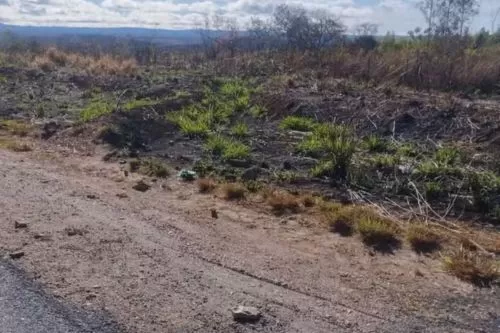 Local onde o acidente ocorreu — Foto: Polícia Militar Rodoviária