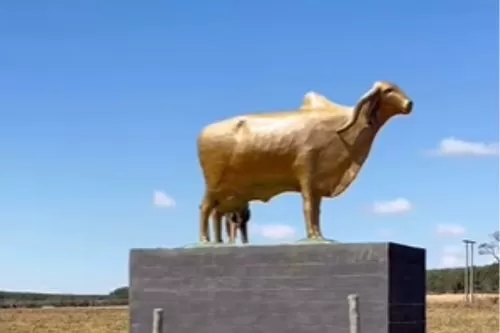 Foto: Reprodução @onofreribeiro