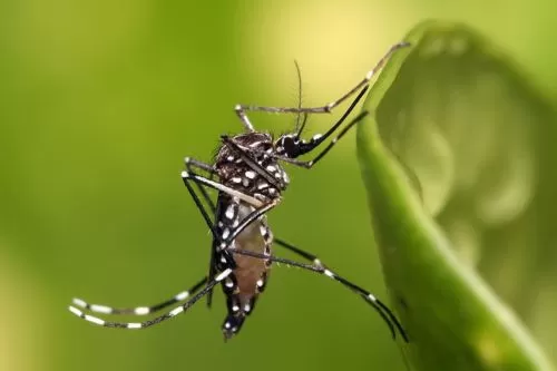 Imagem ilustrativa/ Reprodução internet