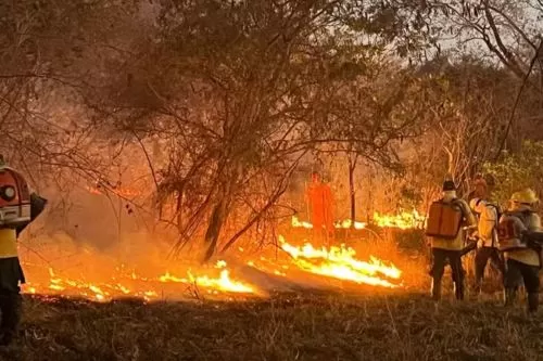 Foto: Corpo de Bombeiros/Divulgação