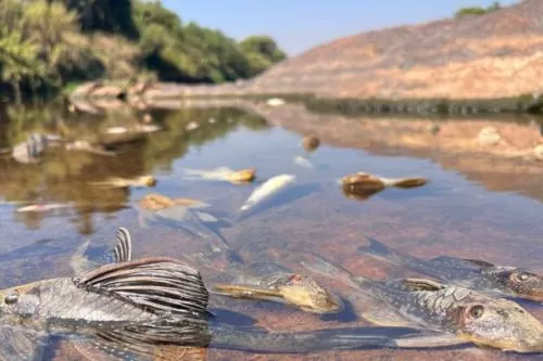 Foto: Reprodução Estado de Minas