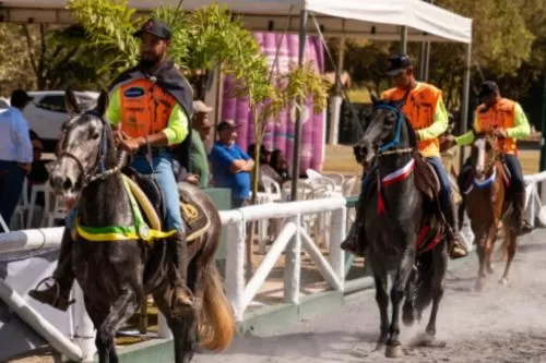 Foto: Reprodução @clubedocavalodecurvelo