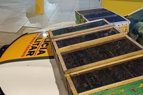 Animais não tinham águam e alimento — Foto: Polícia Militar Rodoviária