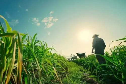 Imagem ilustrativa/ Reprodução internet