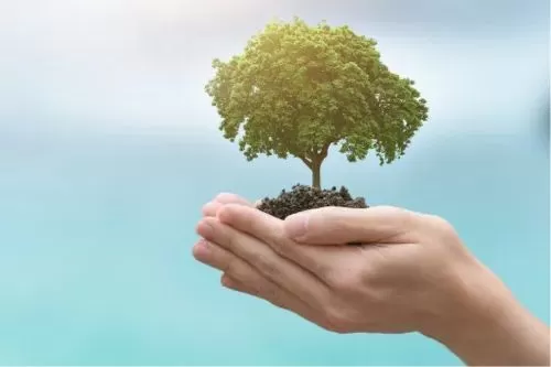 Imagem ilustrativa/ Reprodução internet