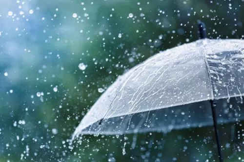 Imagem ilustrativa/ Reprodução internet