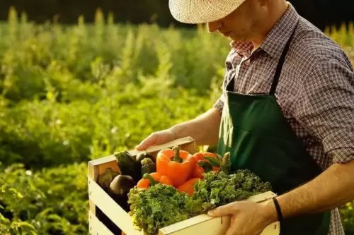 Imagem ilustrativa/ Reprodução internet