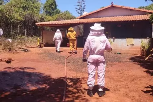 Bombeiros usaram jatos de água para dispersar enxame de abelhas — Foto: Corpo de Bombeiros Militar