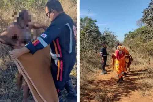 Caminhoneiro ficou perdido em área de mata e foi encontrado pelo Samu — Foto: Montagem/g1