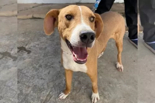 Divulgação: Via Cristais