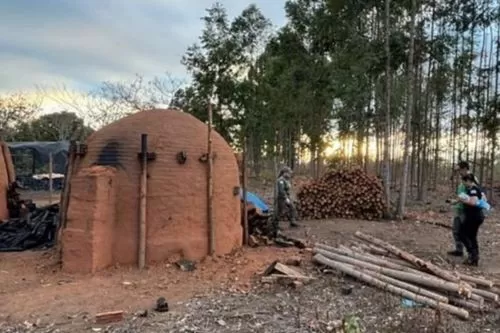 Operação resultou na prisão de 11 pessoas na região do Vale do Jequitinhonha Foto: PCMG / Divulgação