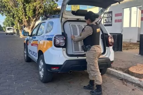 Homem foi preso em Taiobeiras — Foto: Polícia Militar/Divulgação
