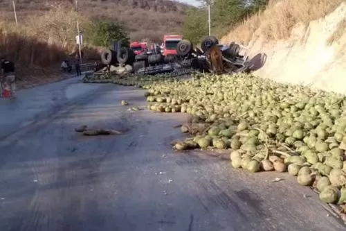 Caminhão capotou na BR-251 — Foto: Corpo de Bombeiros/Divulgação