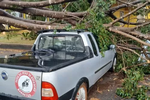 Imagem Reprodução redes sociais