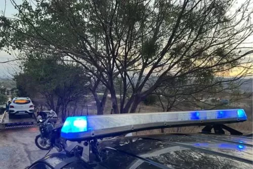 Veículos foram apreendidos na 2ª fase da operação Aparando Arestas — Foto: Polícia Civil/Divulgação