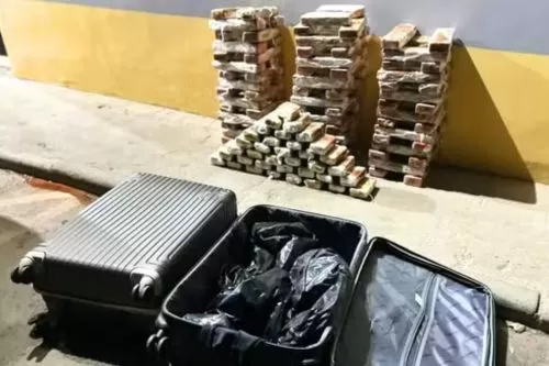 Droga estava distribuída em três malas no bagageiro do ônibus. — Foto: Polícia Militar Rodoviária