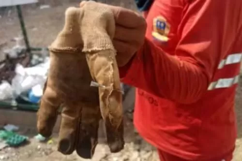 Agulha na luva de gari — Foto: Prefeitura de Montes Claros